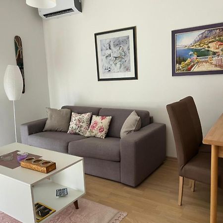 Lovely Pink Flat Apartment Подгорица Екстериор снимка
