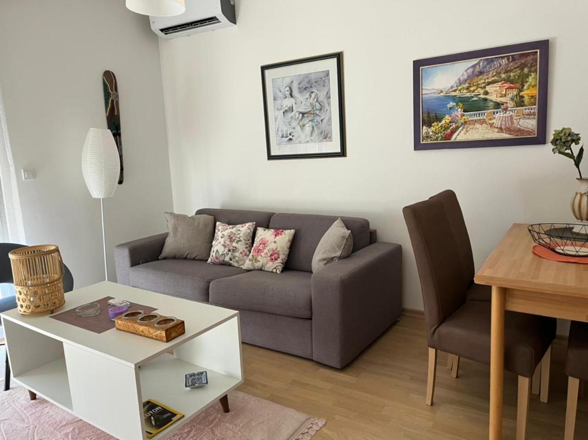 Lovely Pink Flat Apartment Подгорица Екстериор снимка